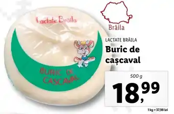Lactate Brăila Buric de cașcaval 500g