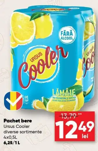 PROFI Ursus Cooler Pachet bere diverse sortimente 4x0,5 L Ofertă