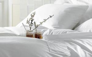 Lenjerie hoteliera single ranforce dr06 bumbac alb