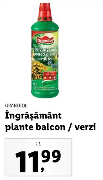 Grandiol îngrășământ plante balcon / verzi 1l