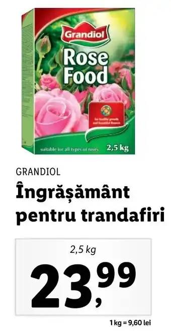 Lidl Grandiol îngrășământ pentru trandafiri 2.5kg Ofertă