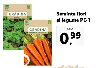 Lidl Lidl piața semințe flori și legume pg1 1 buc Ofertă