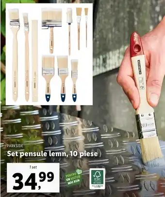 Lidl Parkside set pensule lemn 10 piese 1 set Ofertă