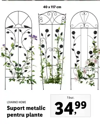 Livarno home suport metalic pentru plante 40 x 117cm 1 buc