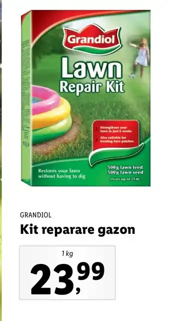 Lidl Grandiol kit reparare gazon 1 kg Ofertă