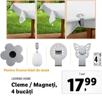 Lidl Livarno home cleme / magneți 4 bucăți 1 set Ofertă