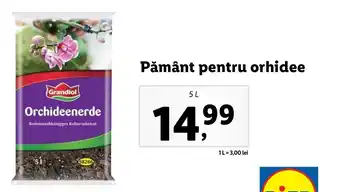 Grandiol pământ pentru orhidee 5l