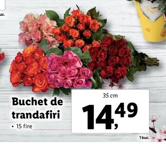 Lidl Lidl florăria buchet de trandafiri 35cm Ofertă