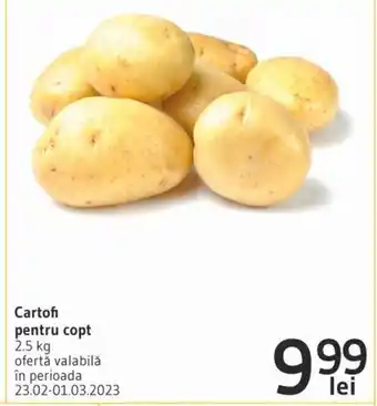 Supeco Cartofi pentru copt 2,5 kg Ofertă