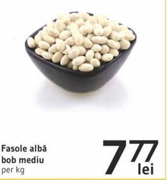 Fasole albă bob mediu per kg