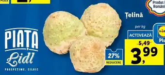 Lidl Lidl piața țelină per 1kg Ofertă
