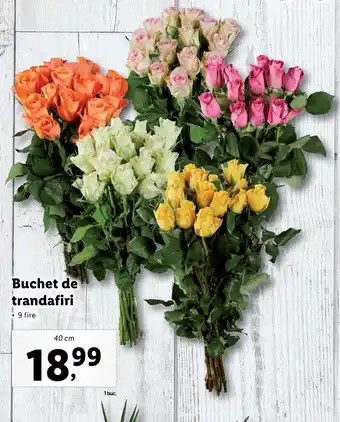 Lidl Lidl florăria buchet de trandafiri 40cm Ofertă
