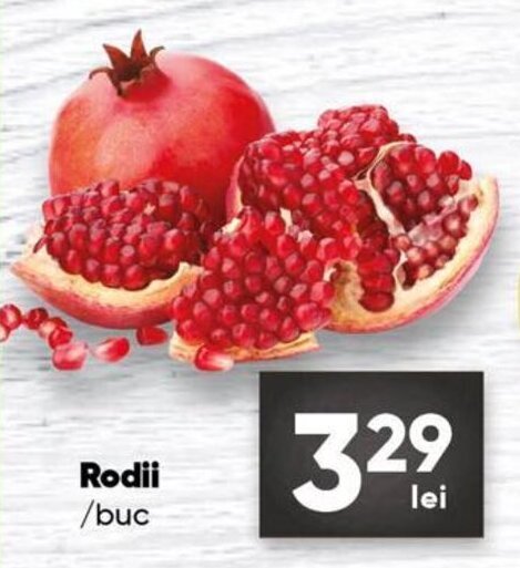 PROFI Rodii buc Ofertă