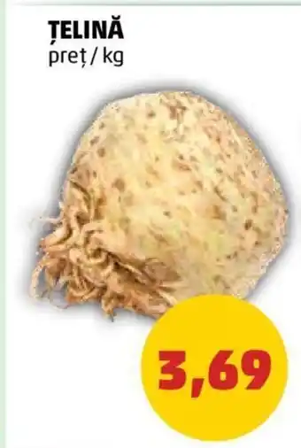 Țelină 1 kg