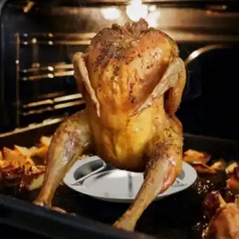 Suport pentru carne de pasăre la cuptor