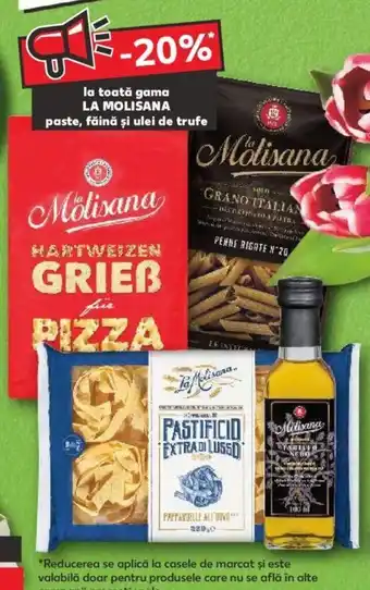 La molisana paste făina și ulei de trufe