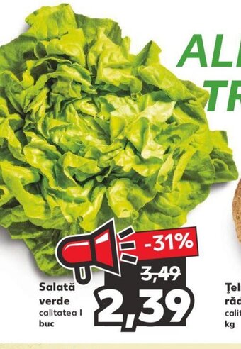 Kaufland Salată verde 1 buc Ofertă