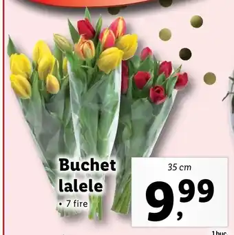 Lidl Lidl florăria buchet lalele 35cm Ofertă