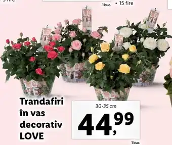 Lidl Lidl florăria trandafiri în vas decorativ love 30-35cm Ofertă