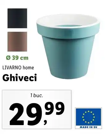 Lidl Livarno home ghiveci 1 buc Ofertă
