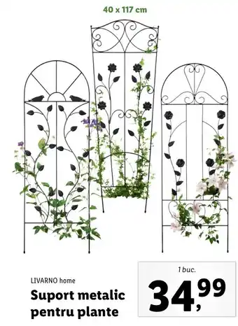 Lidl Livarno home suport metalic pentru plante 1 buc Ofertă