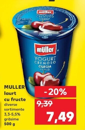 Kaufland Muller iaurt cu fructe 500g Ofertă