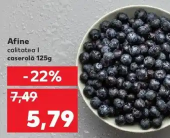 Kaufland Afine caserolă 125g Ofertă