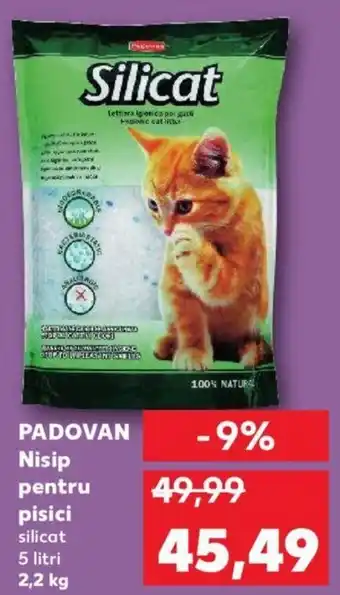 Kaufland Padovan nisip pentru pisici 2.2kg Ofertă
