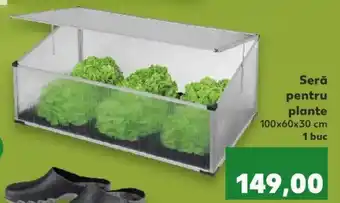 Kaufland Seră pentru plante 100 x 60 x 30 cm 1 buc Ofertă