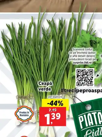 Lidl Lidl piața ceapă verde per legătură Ofertă