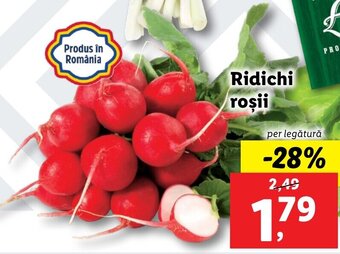 Lidl piața ridichi roșii per legătură