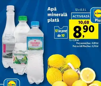 Apă minerală plată 12 x 0.5l