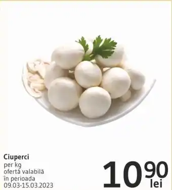 Supeco Ciuperci per kg Ofertă