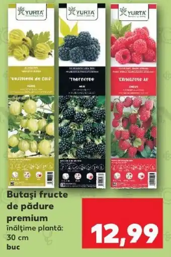 Kaufland Yurta Butași fructe de pădure premium 30 cm 1 buc Ofertă