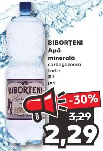 Kaufland Biborțeni apă minerală 2l Ofertă