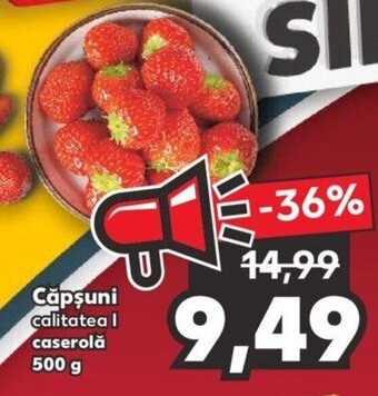 Kaufland Căpșuni caserolă 500g Ofertă