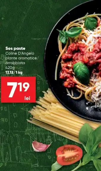 PROFI Coline D'Angelo Sos paste 420g Ofertă