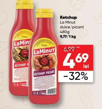 PROFI La Minut Ketchup 480g Ofertă