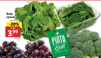 Lidl Lidl piața baby spanac caserolă 100g Ofertă