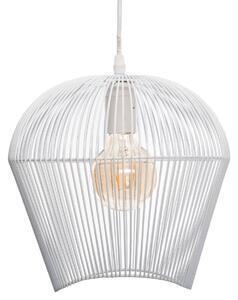 Lustra jena alba