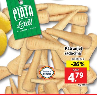 Lidl piața pătrunjel rădăcină pungă 500g