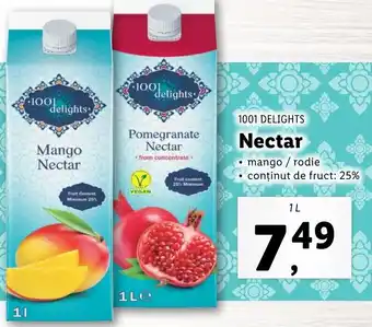 Lidl 1001 delights nectar 1l Ofertă