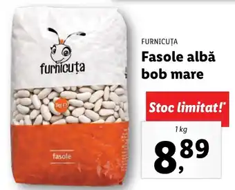 Lidl Furnicuța fasole albă bob mare 1kg Ofertă