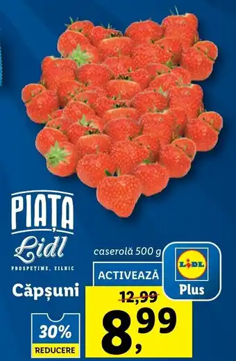 Lidl Lidl piața căpșuni caserolă 500g Ofertă