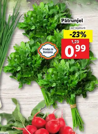 Lidl piața pătrunjel per legătură