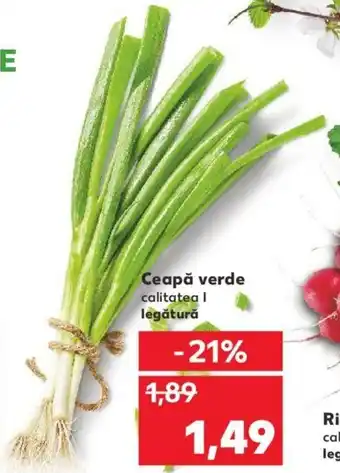 Kaufland Ceapă verde legătură Ofertă
