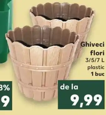 Kaufland Country side ghiveci flori 1 buc Ofertă