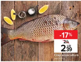 Carrefour Crap acvacultură per 100g Ofertă