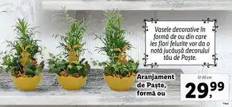 Lidl Lidl florăria aranjament de paște formă ou 12-30cm Ofertă