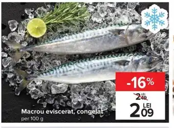 Carrefour Macrou eviscerat congelat per 100g Ofertă